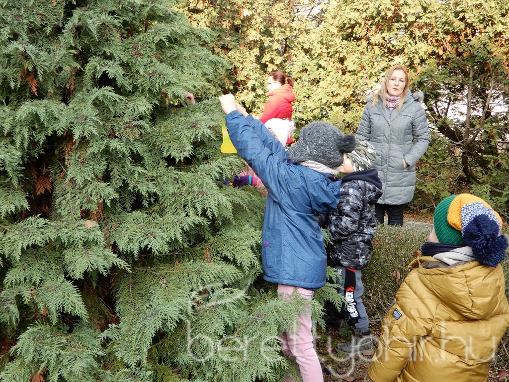 Fenyődíszítés a kórházban 04